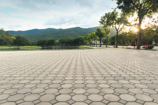 Best Custom Driveway Pavers  in Lannon, WI